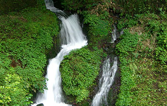 箱島湧水