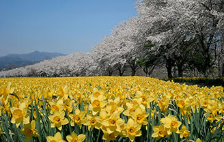 岩井親水公園